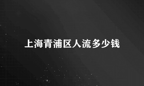 上海青浦区人流多少钱