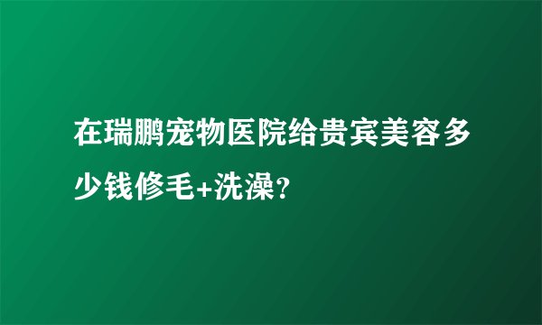 在瑞鹏宠物医院给贵宾美容多少钱修毛+洗澡？