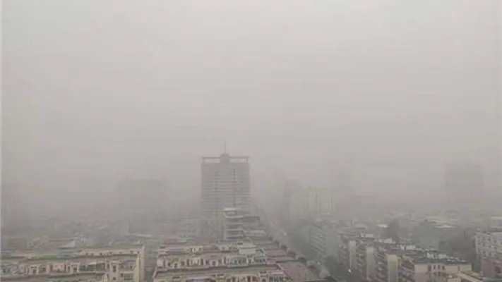大雾神器来袭:大雾神器是什么及作用揭晓(图)