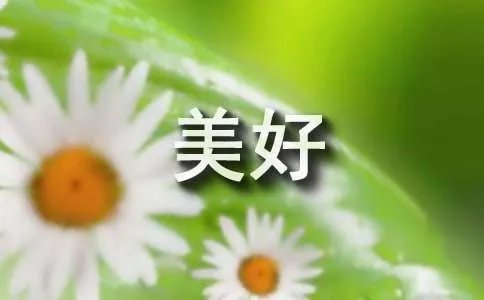 让生活更美好作文
