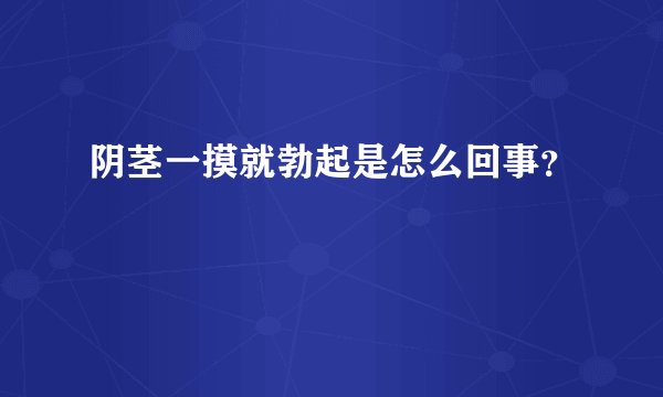 阴茎一摸就勃起是怎么回事?