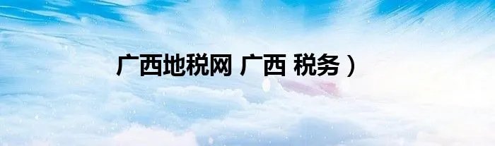 广西地税网 广西 税务）