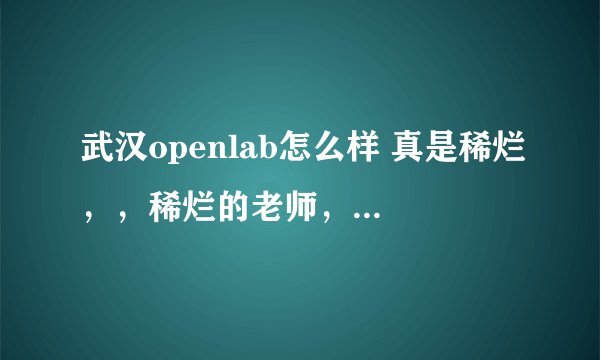 武汉openlab怎么样 真是稀烂，，稀烂的老师，稀烂的人，完全就是圈钱的地方，在此是提醒大家谨慎小心，不