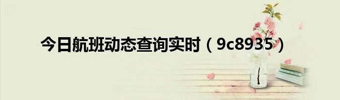今日航班动态查询实时（9c8935）