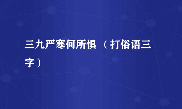 三九严寒何所惧 （打俗语三字）
