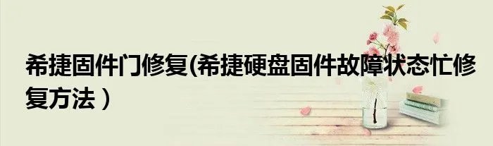 希捷固件门修复(希捷硬盘固件故障状态忙修复方法）