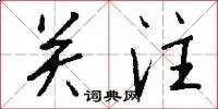 关注