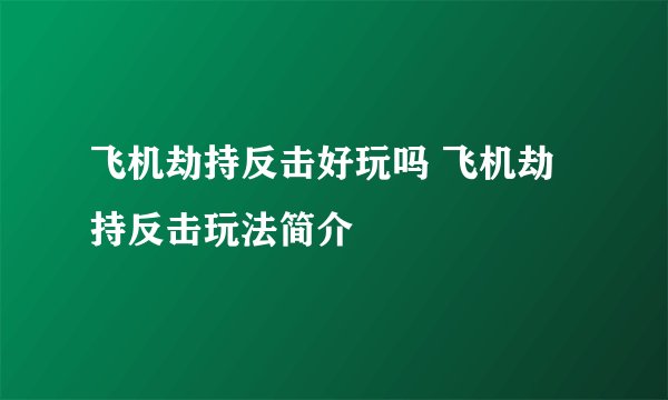 飞机劫持反击好玩吗 飞机劫持反击玩法简介