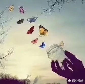的哥捡到包归还时要求打表
