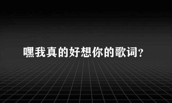 嘿我真的好想你的歌词？