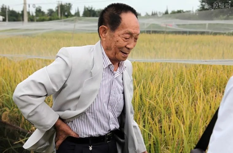 袁隆平勉励青年 成功离不开知识汗水机遇灵感