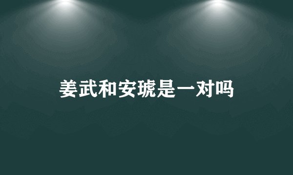 姜武和安琥是一对吗