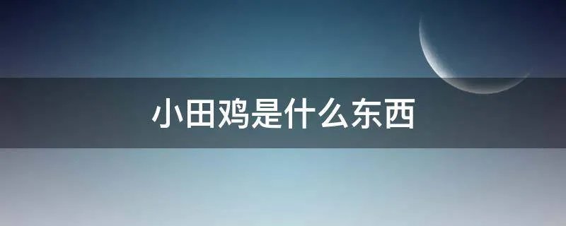 小田鸡是什么东西