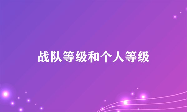 战队等级和个人等级