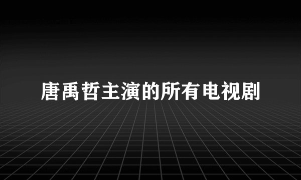 唐禹哲主演的所有电视剧
