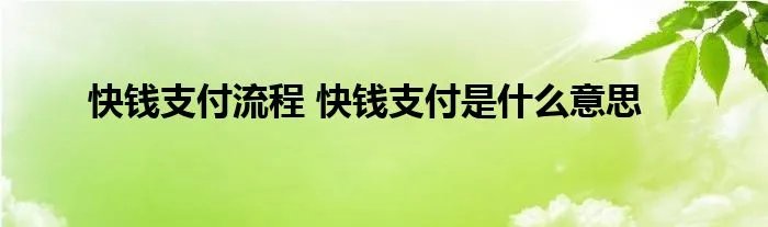 快钱支付流程 快钱支付是什么意思