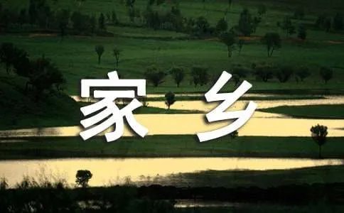 二十年后的家乡五年级作文