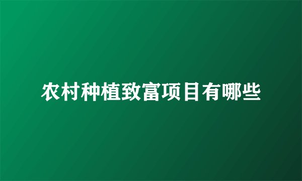 农村种植致富项目有哪些