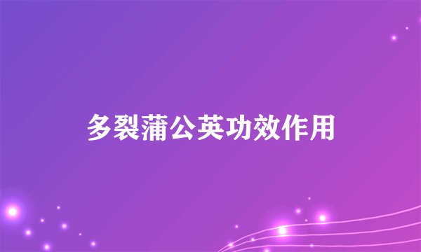 多裂蒲公英功效作用