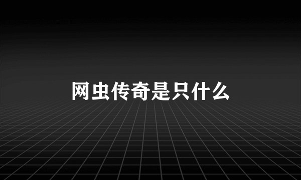 网虫传奇是只什么