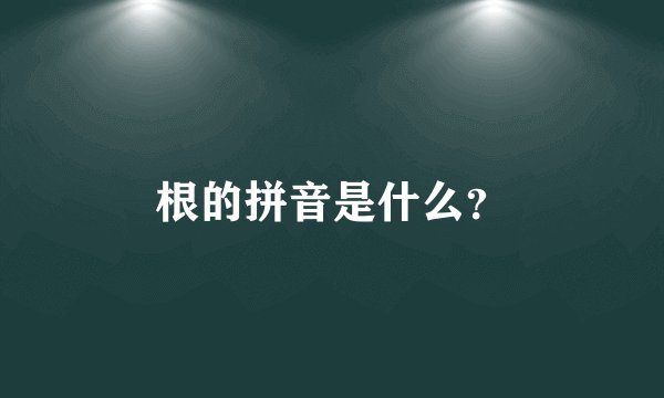 根的拼音是什么？