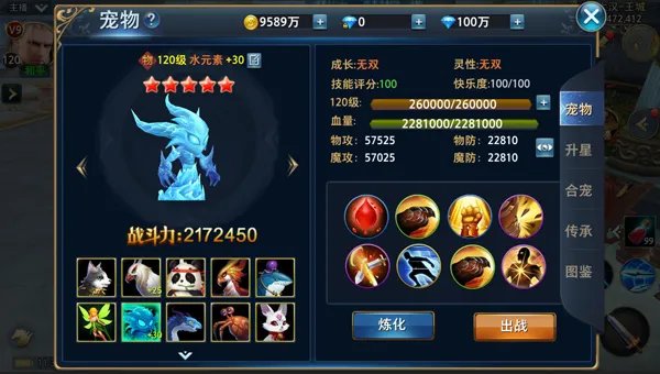 宠物大全