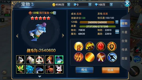 宠物大全