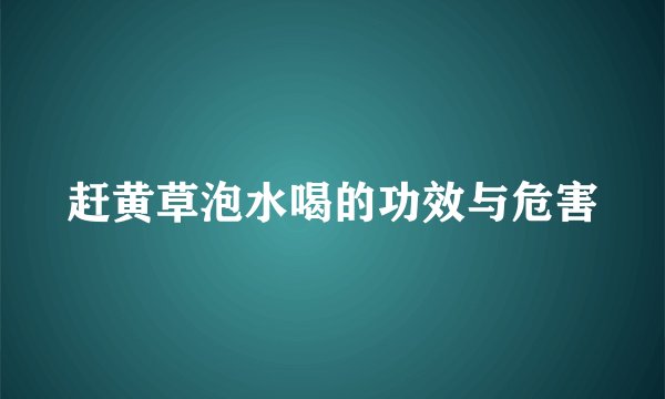 赶黄草泡水喝的功效与危害