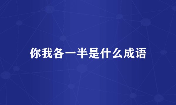 你我各一半是什么成语
