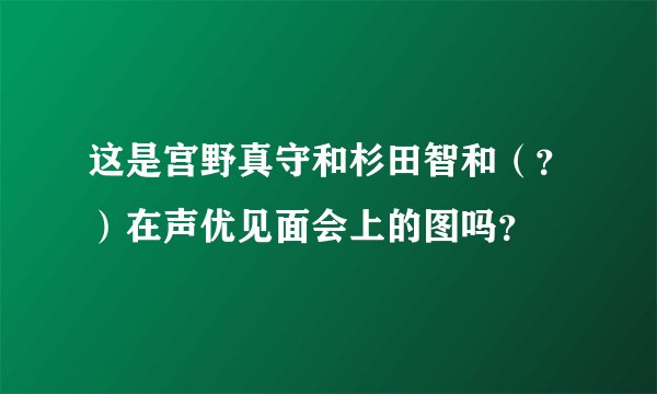 这是宫野真守和杉田智和（？）在声优见面会上的图吗？