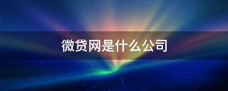 微贷网是什么公司
