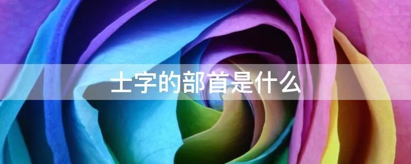 士字的部首是什么