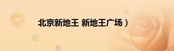 北京新地王 新地王广场)