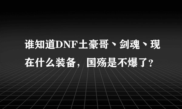 谁知道DNF土豪哥丶剑魂丶现在什么装备，国殇是不爆了？