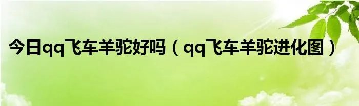 今日qq飞车羊驼好吗（qq飞车羊驼进化图）