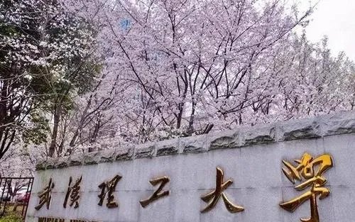 王攀招研资格不予恢复,最终的结果为何让网友直呼大快人心?