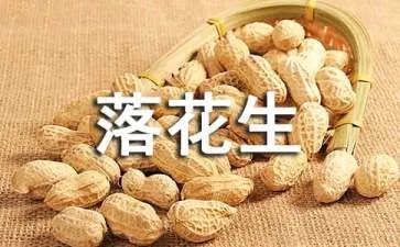 读《落花生》有感