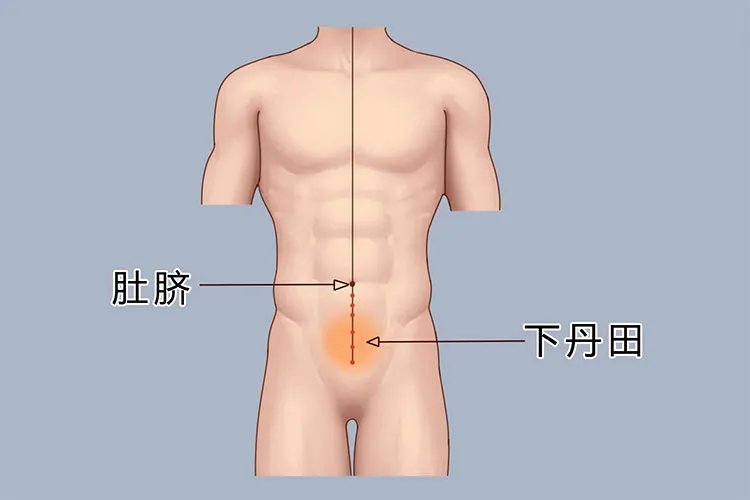 丹田的位置图片