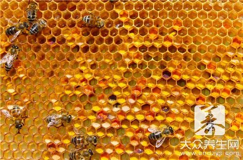 蜂王胎的作用与功效