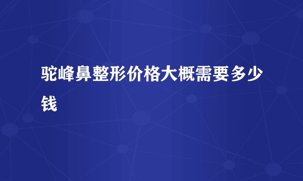 驼峰鼻整形价格大概需要多少钱