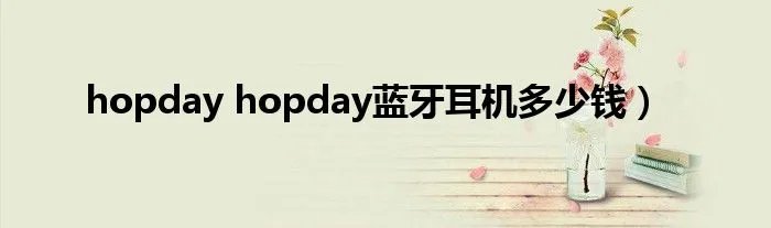hopday hopday蓝牙耳机多少钱）