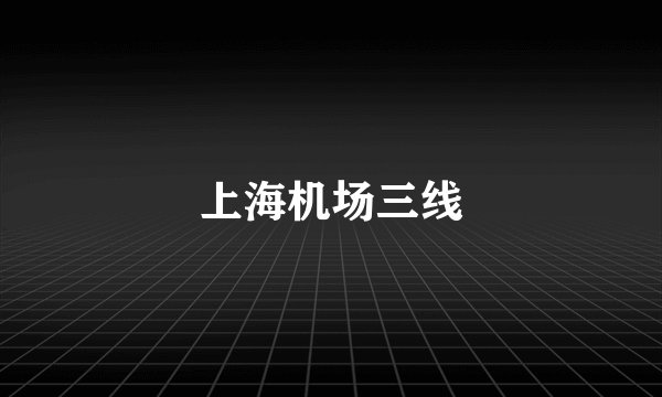 上海机场三线