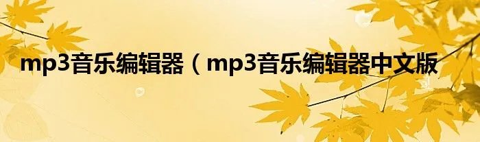 mp3音乐编辑器(mp3音乐编辑器中文版