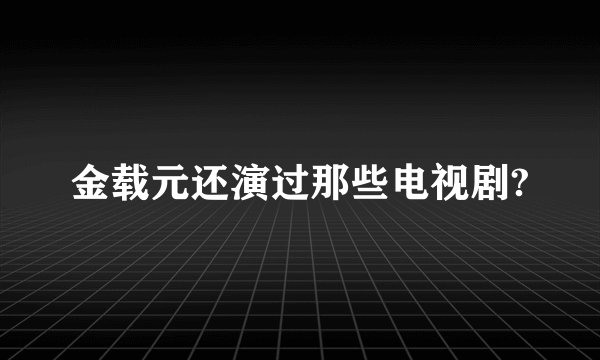金载元还演过那些电视剧?