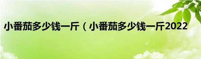 小番茄多少钱一斤（小番茄多少钱一斤2022