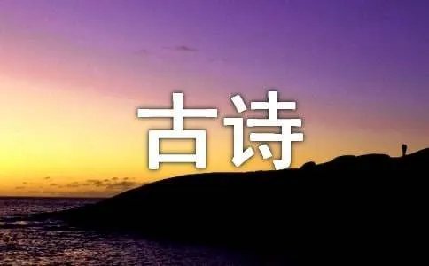 古诗七步诗的作者是谁