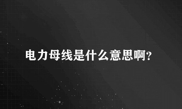 电力母线是什么意思啊？