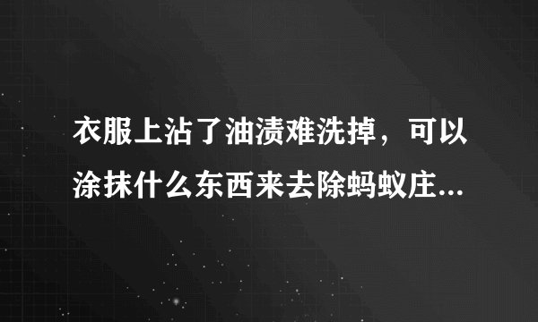 衣服上沾了油渍难洗掉，可以涂抹什么东西来去除蚂蚁庄园10月5日问题答案_飞外手游门户