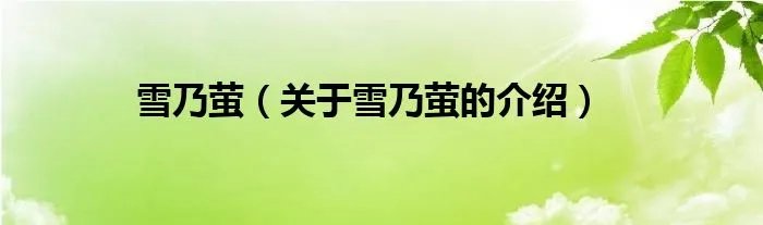 雪乃萤（关于雪乃萤的介绍）
