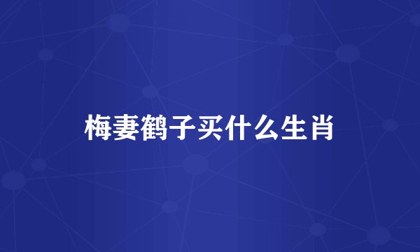 梅妻鹤子买什么生肖